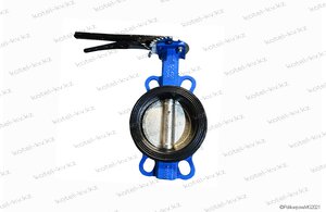 Затвор Ду 200